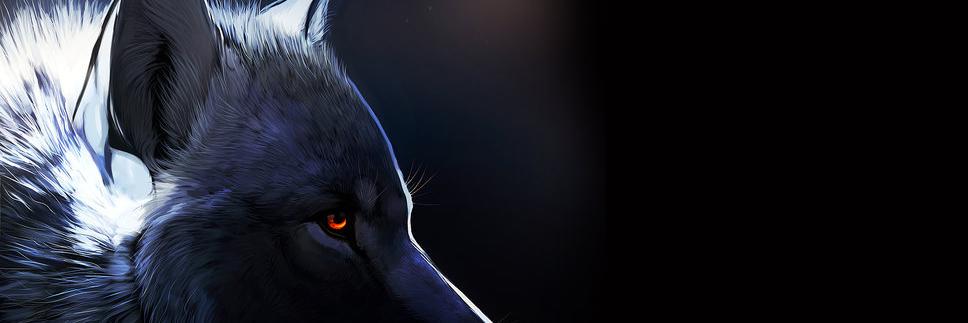 Manuel20307494's profile banner image