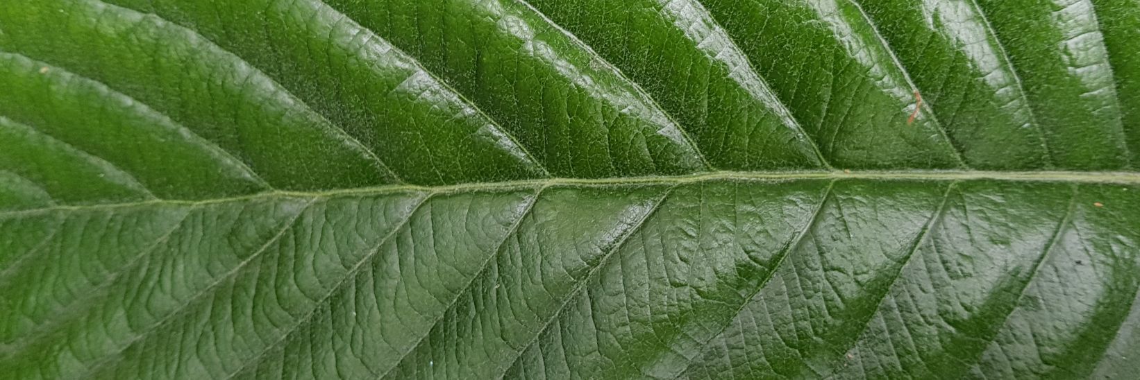 gadijkstra's profile banner image