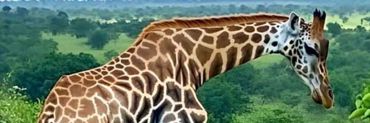 OG_EnkareValley's profile banner image