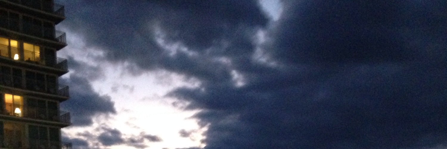 Ann Popp banner