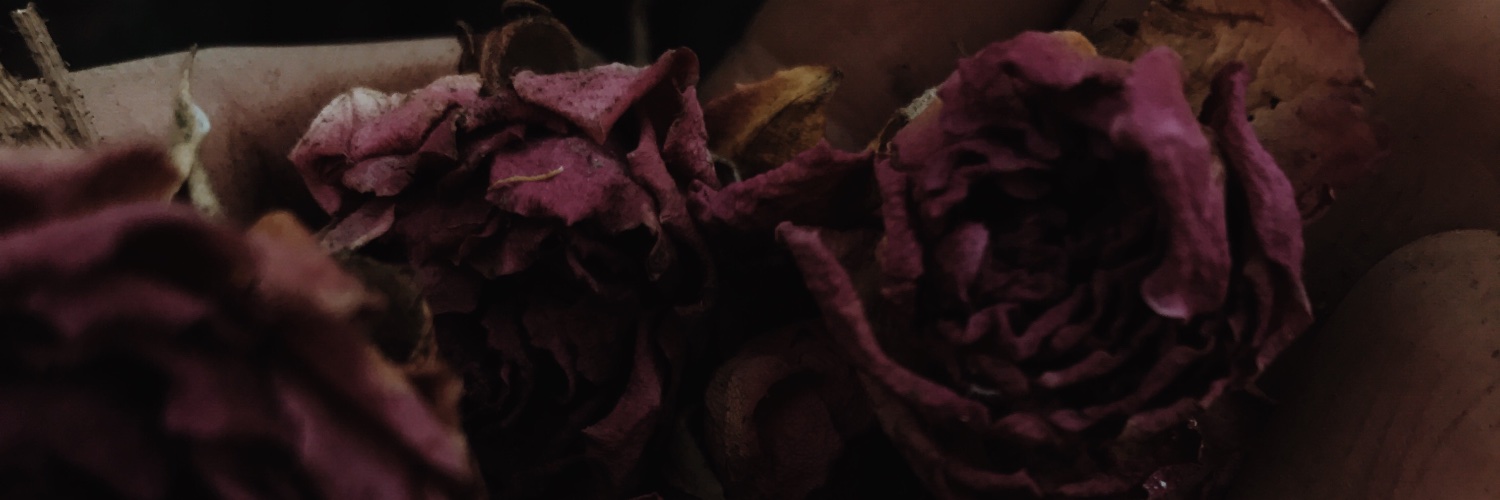 ValeJuarez_'s profile banner image