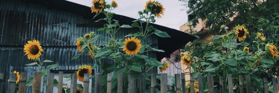 anniibenito's profile banner image
