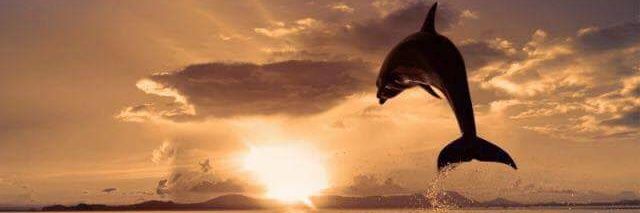 twlauracdl's profile banner image