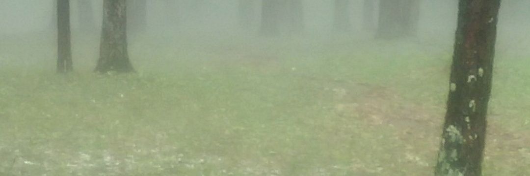 Brookhavenalien's profile banner image