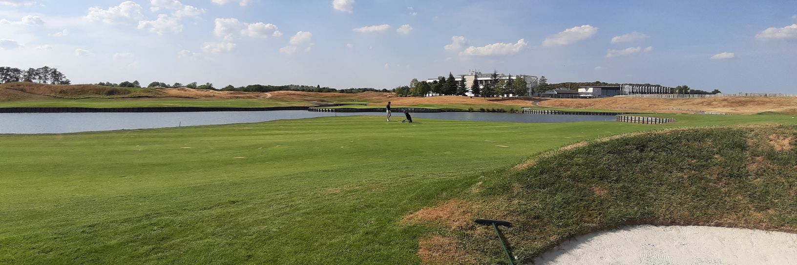 David Nicholson banner