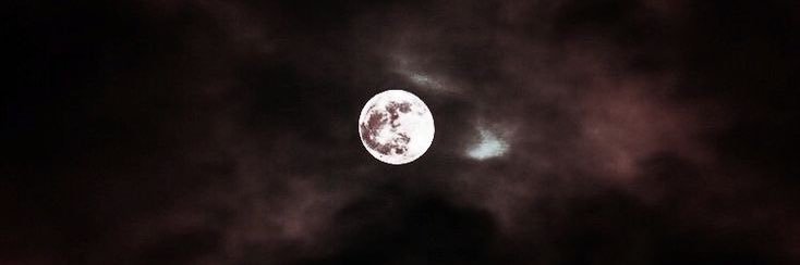 mamaofmoonlings's profile banner image