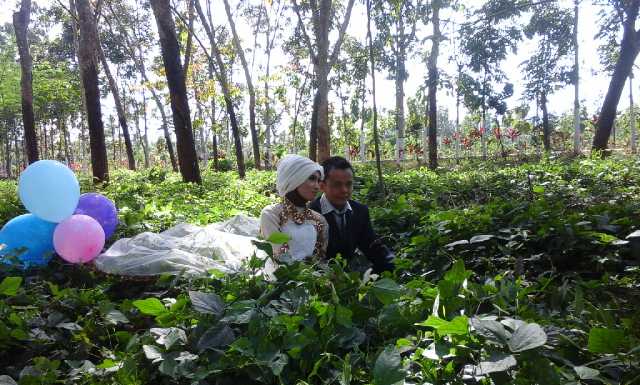retno_hanif's profile banner image