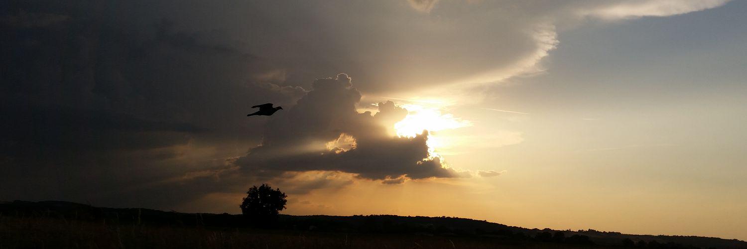 Ethamin Tite✒ banner