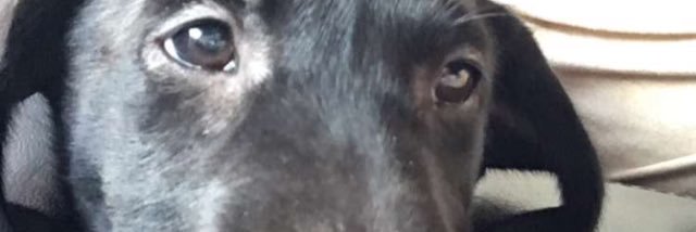 bertsteen2's profile banner image