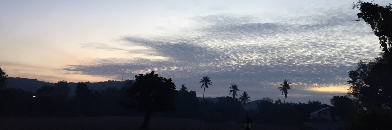 suaomaom's profile banner image