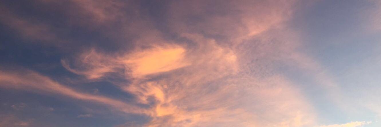 paniz_sade's profile banner image