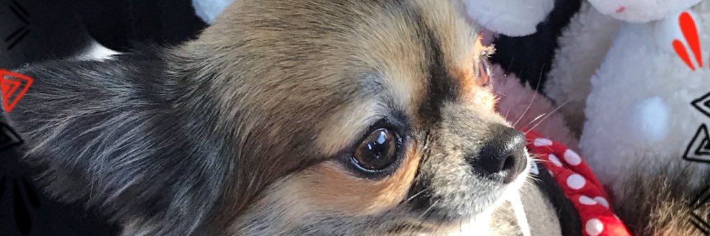1206rara's profile banner image