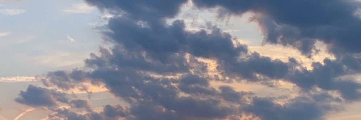 emskovy's profile banner image