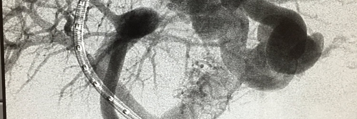 Nathan Ertel MD banner