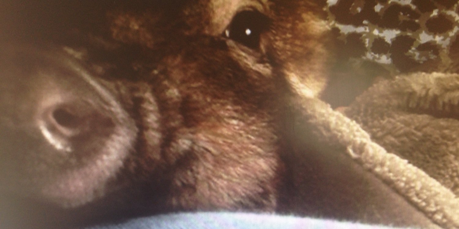 KCPcopal's profile banner image