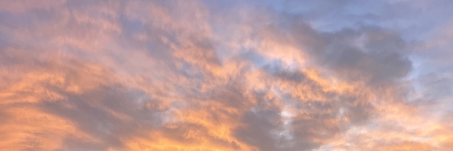 Riksfcz's profile banner image