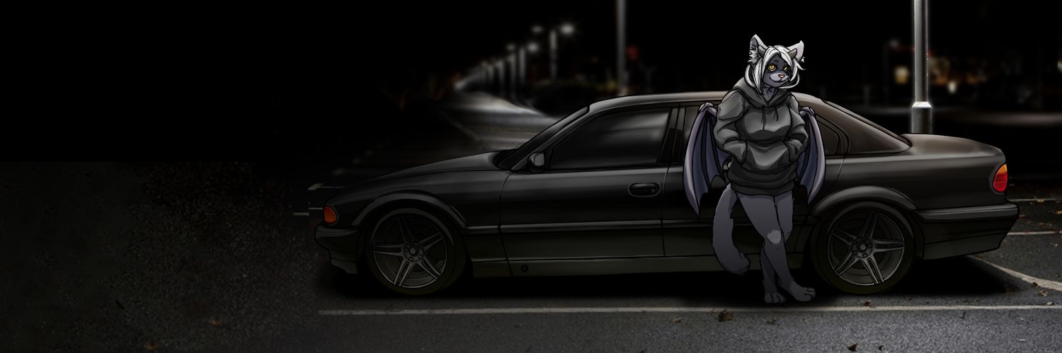 KryaFeline's profile banner image