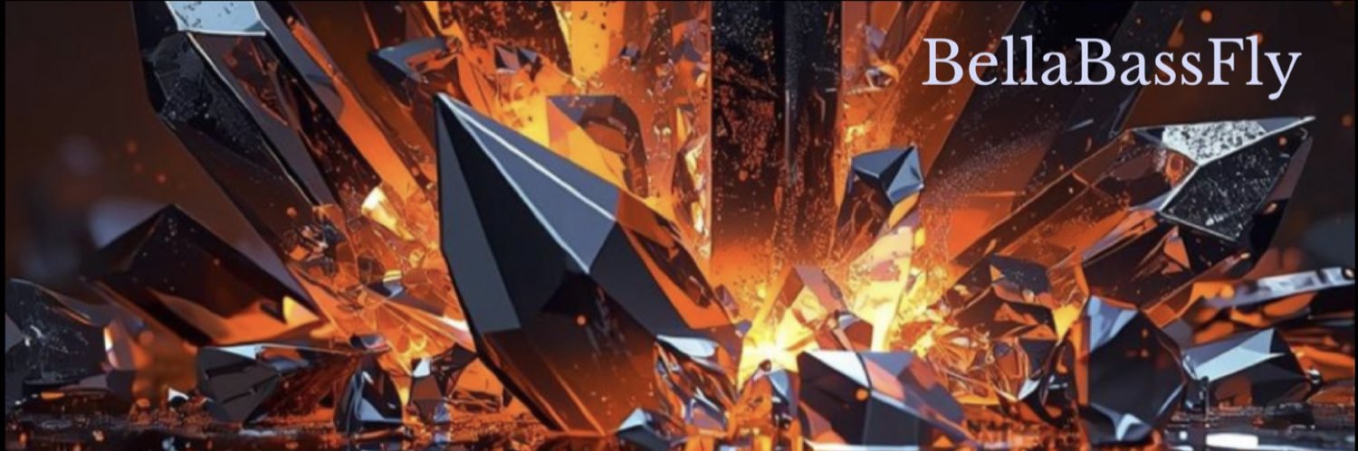 Bellabassfly's profile banner image