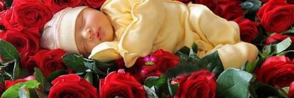sheebaalex Profile Banner