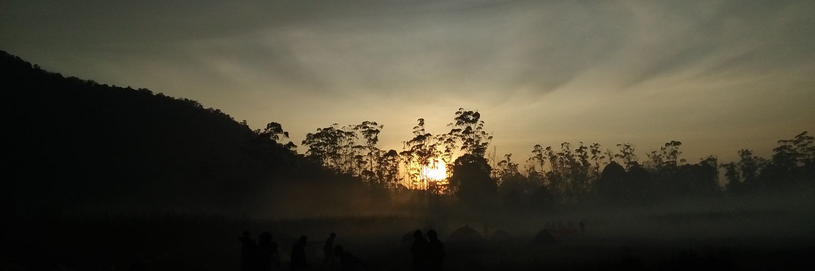 revasitorus's profile banner image