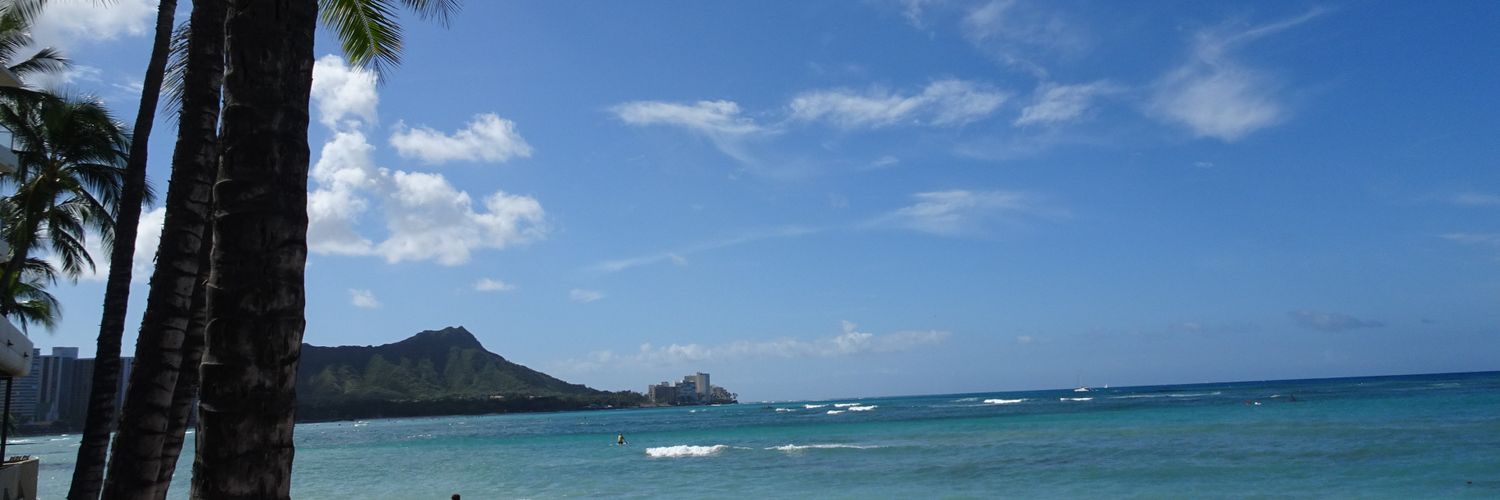 sara178178's profile banner image