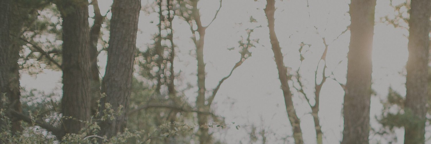burrowsband's profile banner image