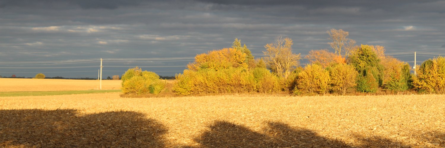 jhwalker59's profile banner image