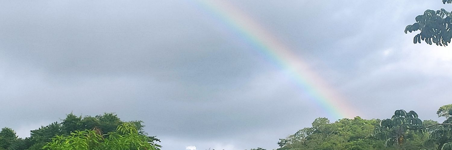 Miss...Tick 🍒🪄 banner