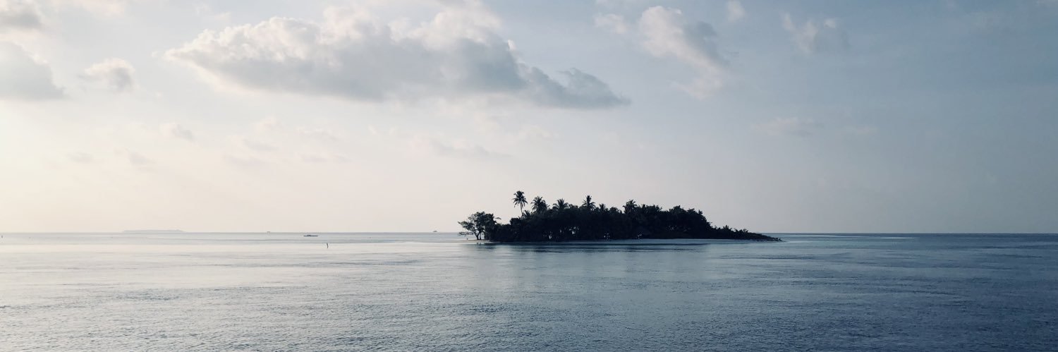 fliflo007's profile banner image