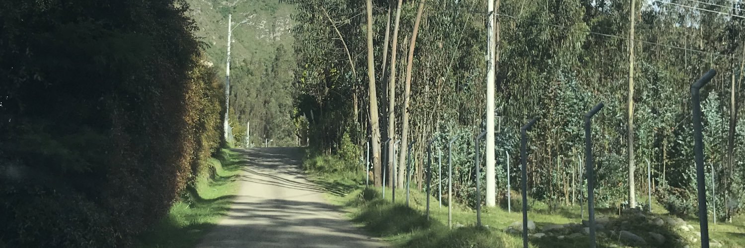 marceserranot's profile banner image