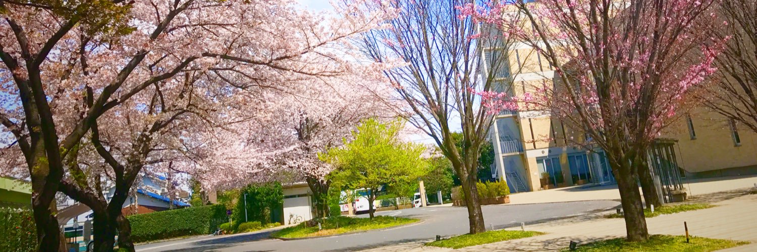 atomi_ss's profile banner image