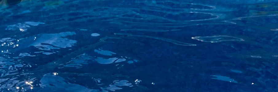 midnighttmuseee's profile banner image