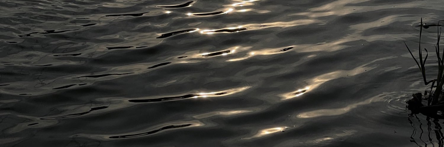 pp. banner
