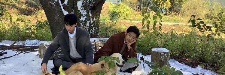 ch_nese's profile banner image