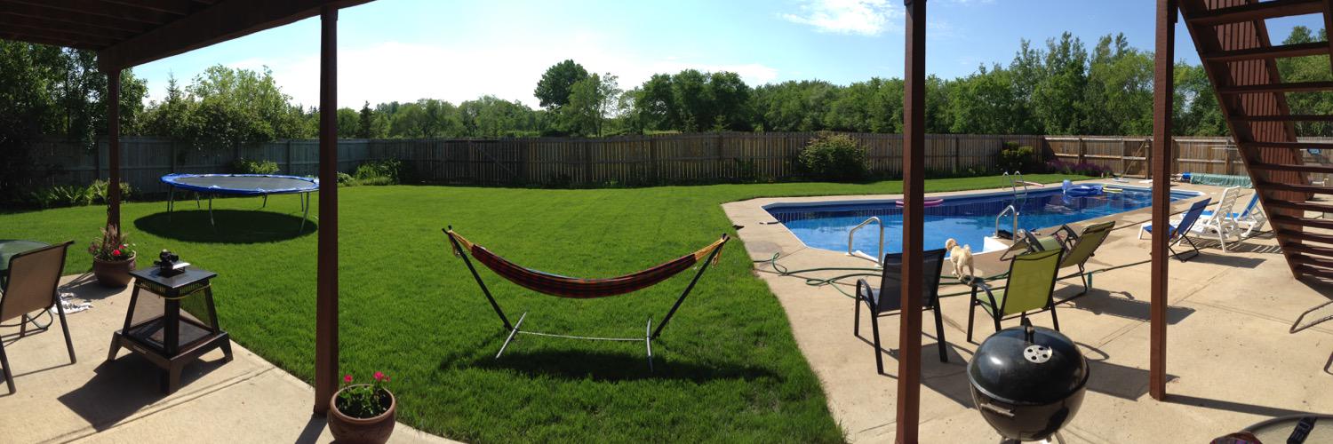 Mark Plamondon banner