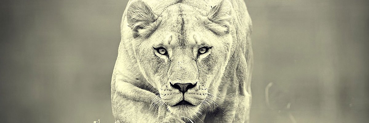 Derrick Skala banner