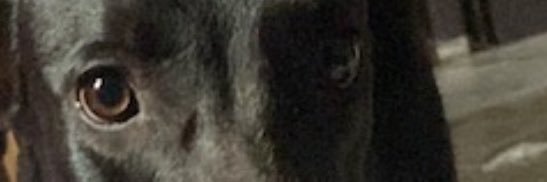 geraldiniyasmin's profile banner image