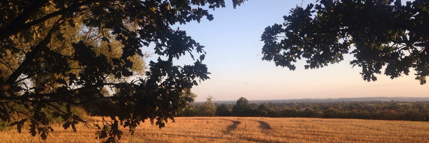 Hannah Thomas banner