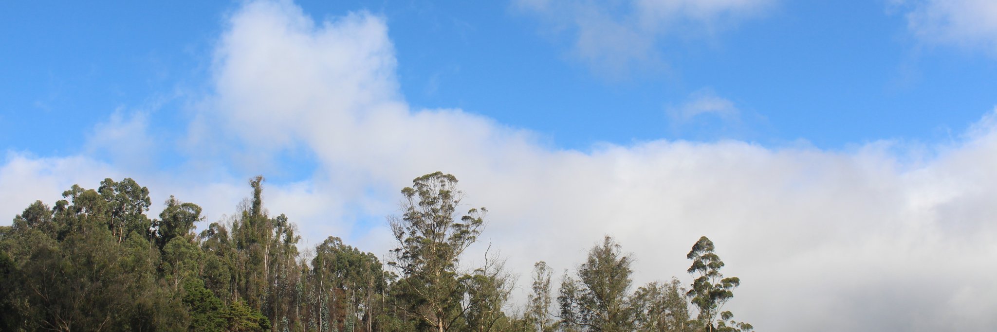 anutomas's profile banner image