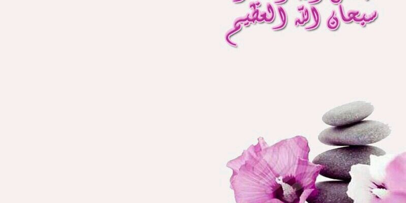 shamalkher's profile banner image