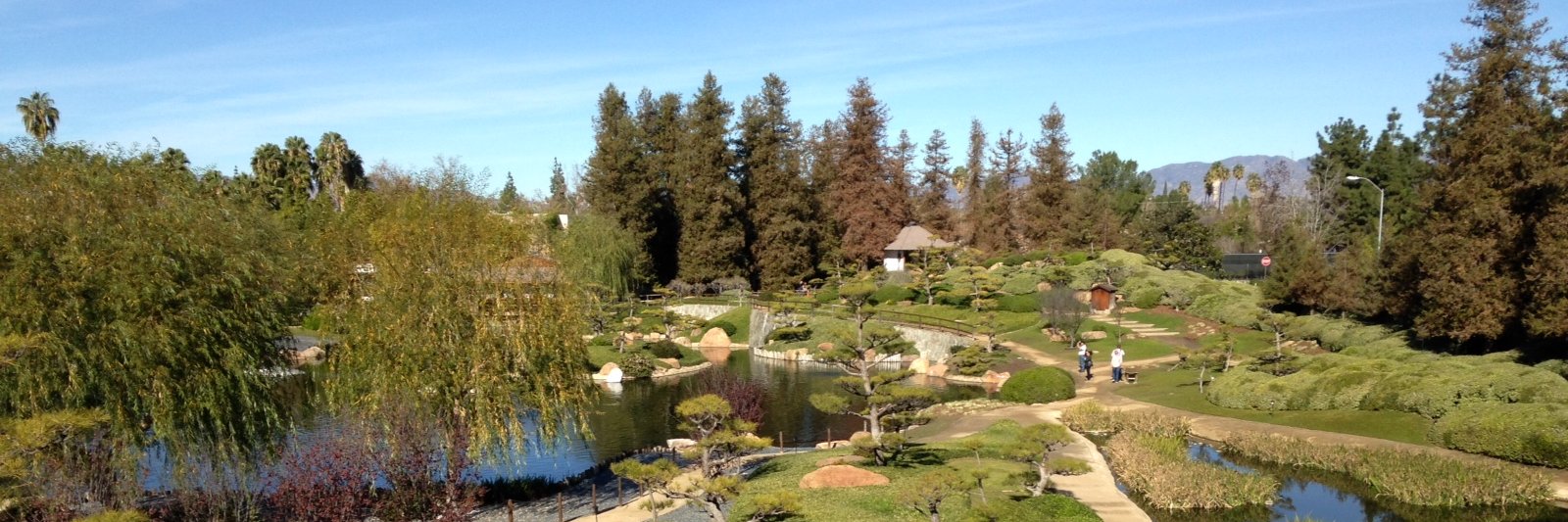 Madeleine Villanueva banner