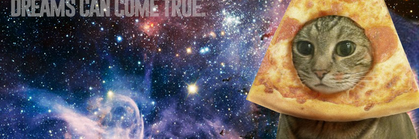 KittenCoding Profile Banner