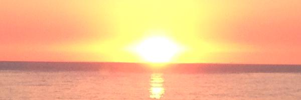 MaudCollobert Profile Banner