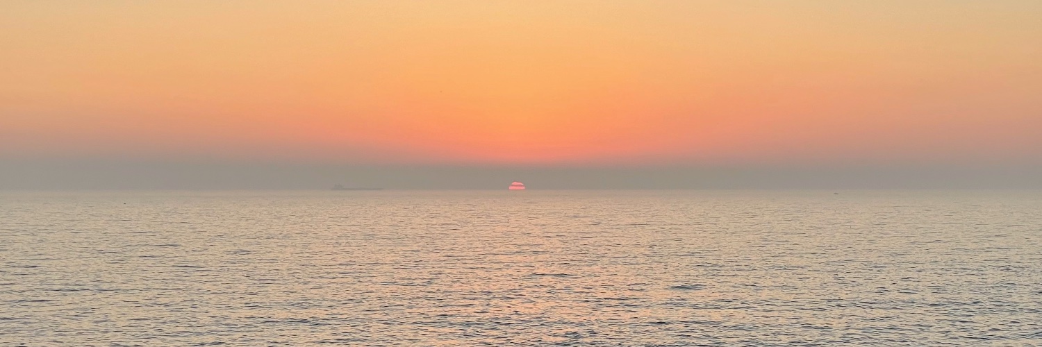 fms_martins's profile banner image