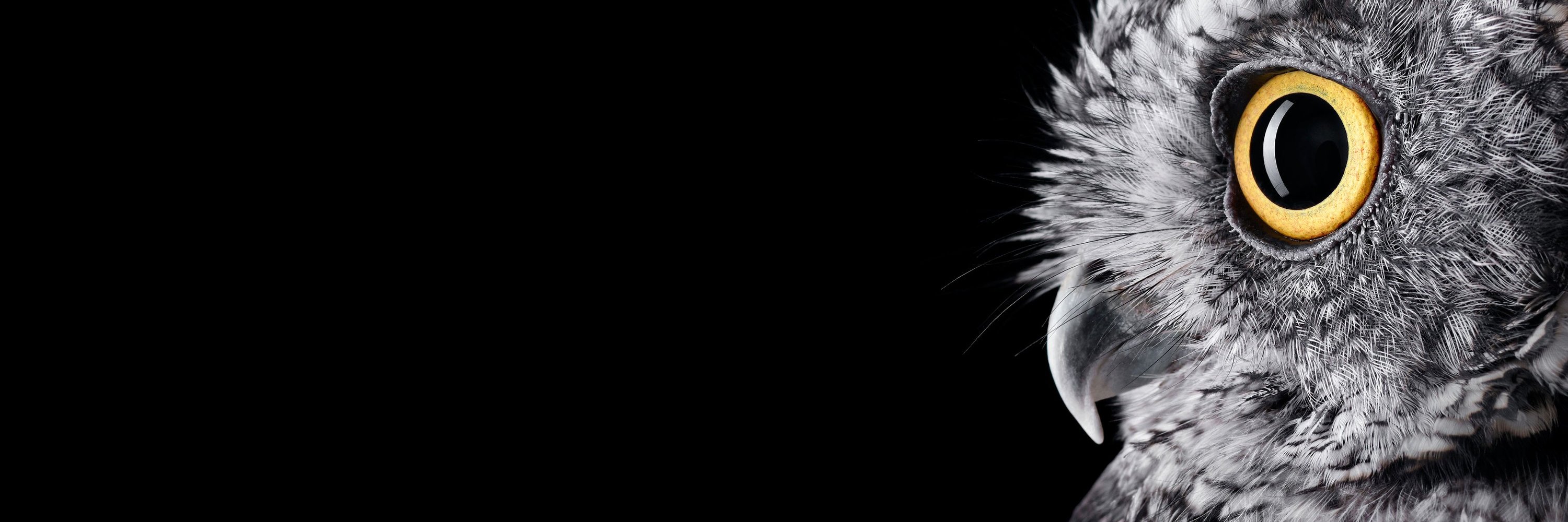 trakyatur's profile banner image