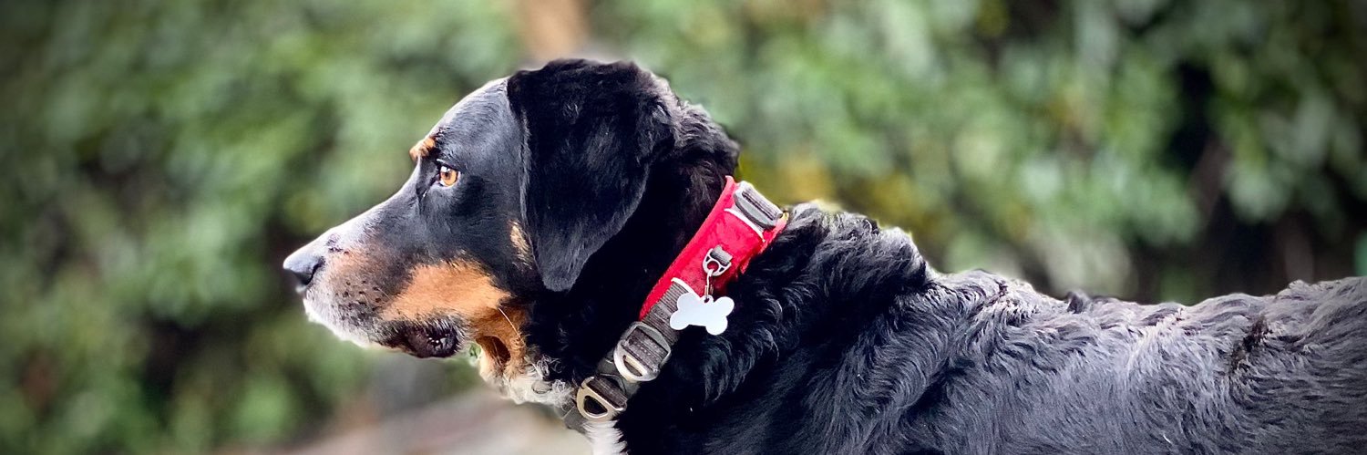 Abbiesafety's profile banner image