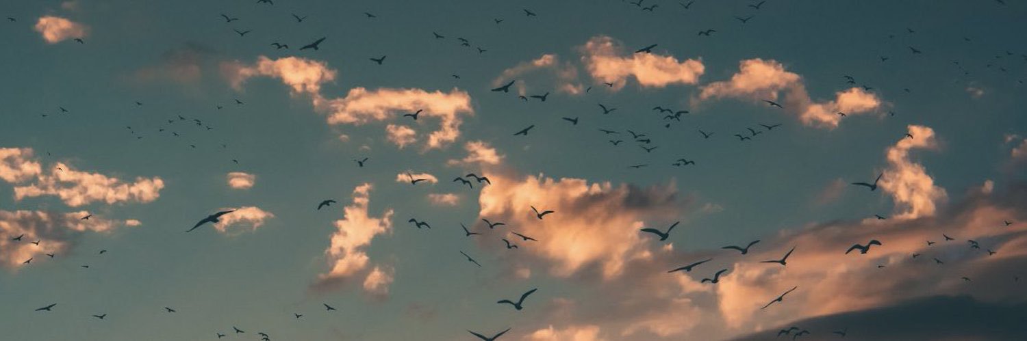 Hindae's profile banner image
