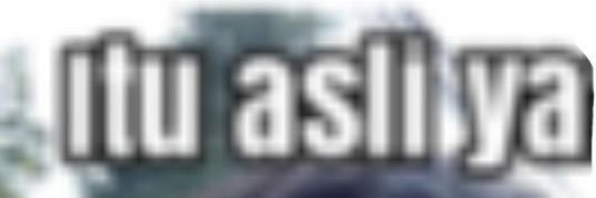 dszanabila's profile banner image