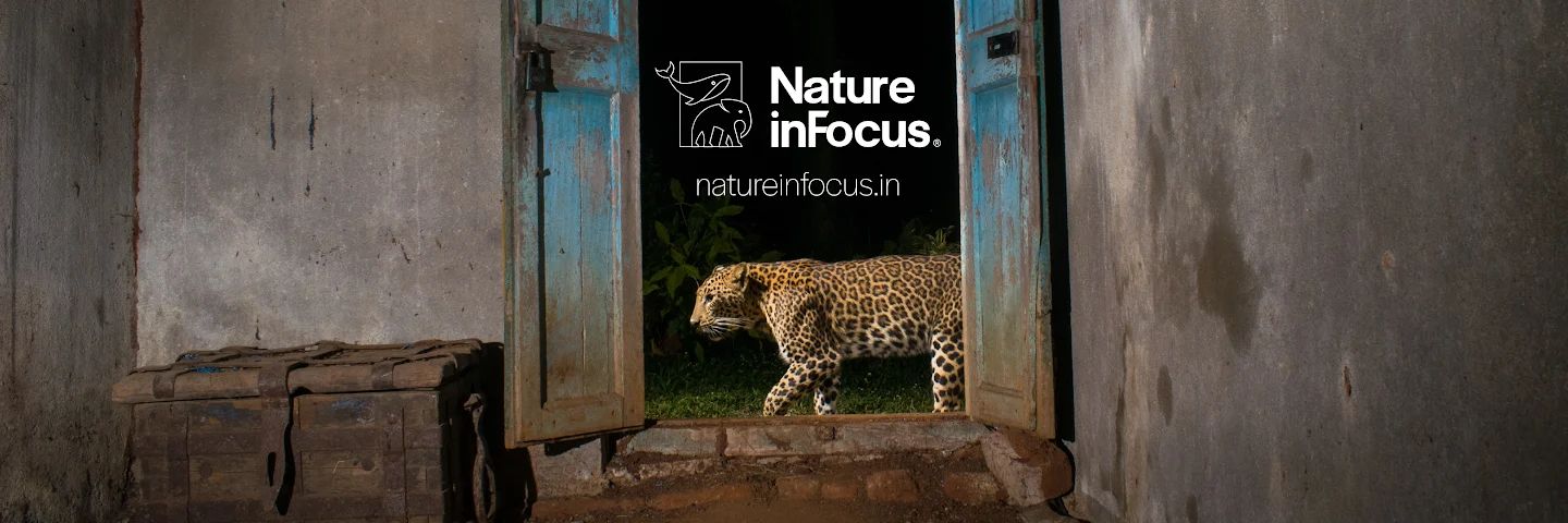 Nature inFocus banner