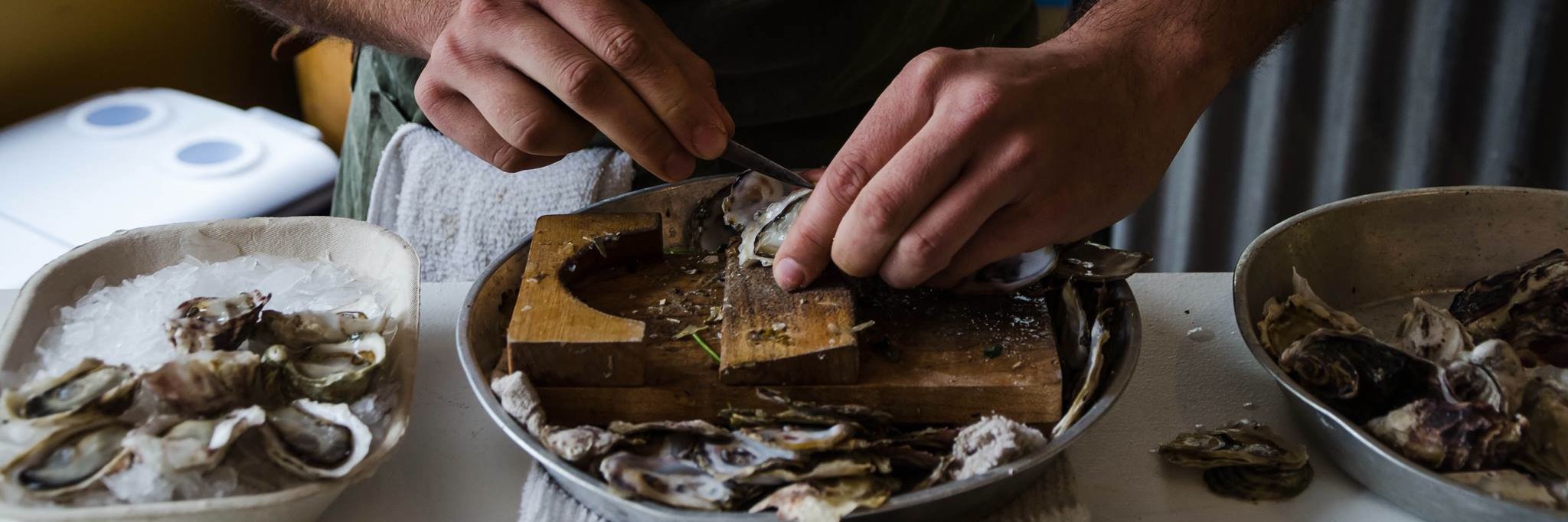 Wandering Mollusk Oyster Co banner